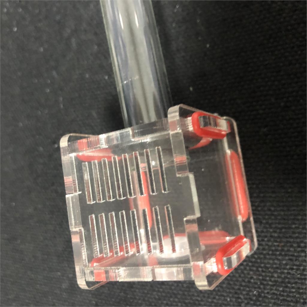 Farming Zone - New Mini 1pcs Glass Tubes Ant