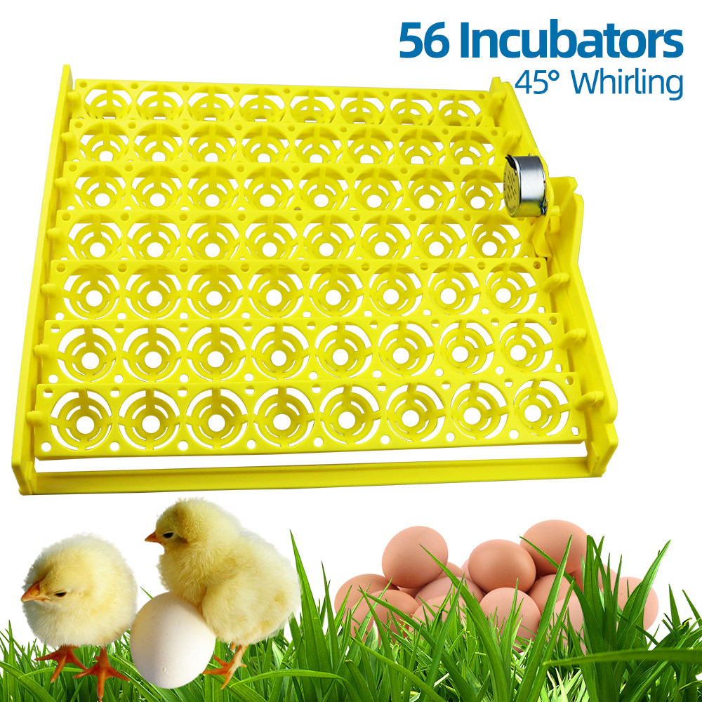 Quail Egg Incubator - 56 Eggs Incubator Eggs Automatic Incubator