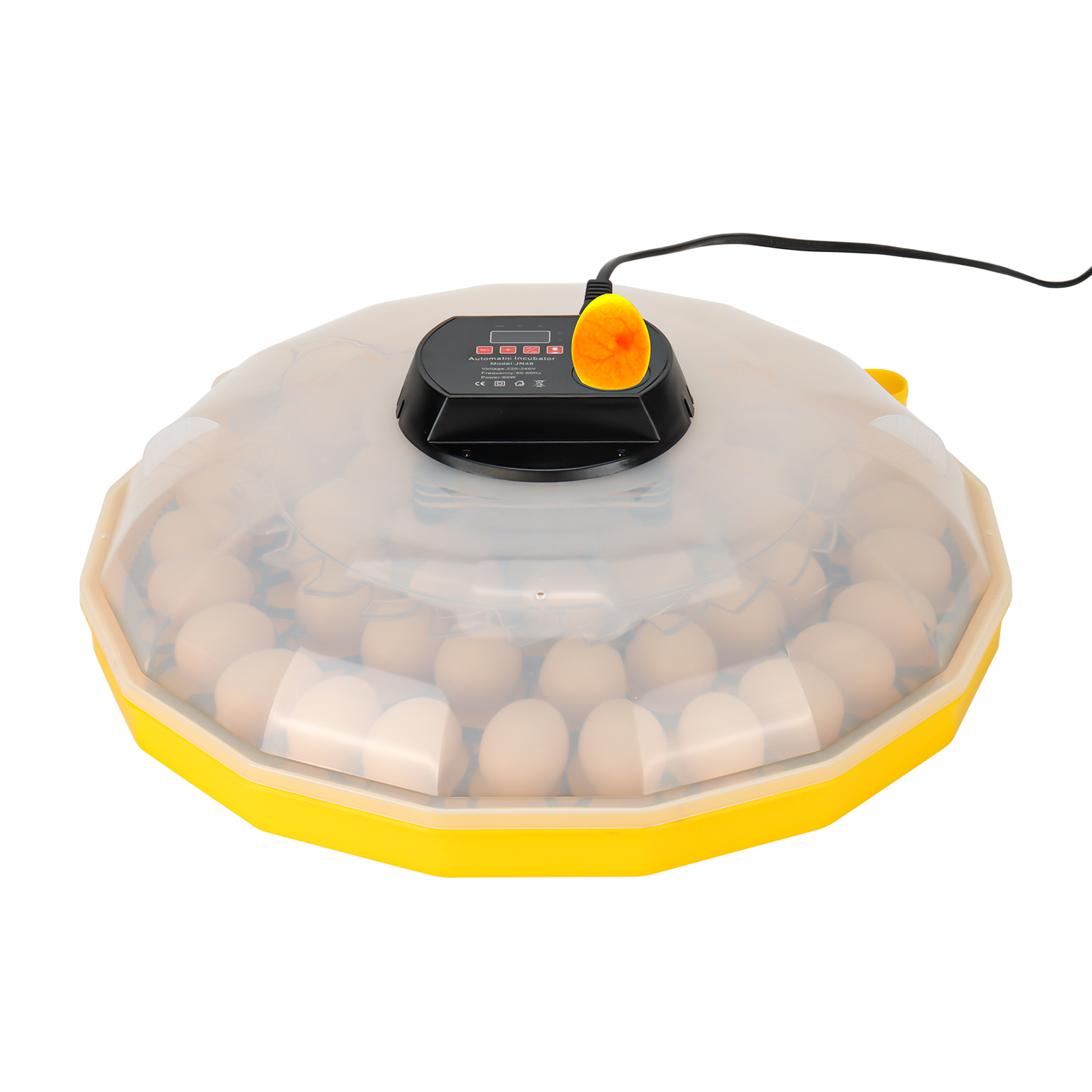 Quail Egg Incubator - Mini Egg Incubator with 99% Hatching