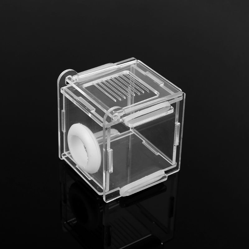 Ant Nest Glass Tube Mini Ant N - Farming Zone 评论和价格