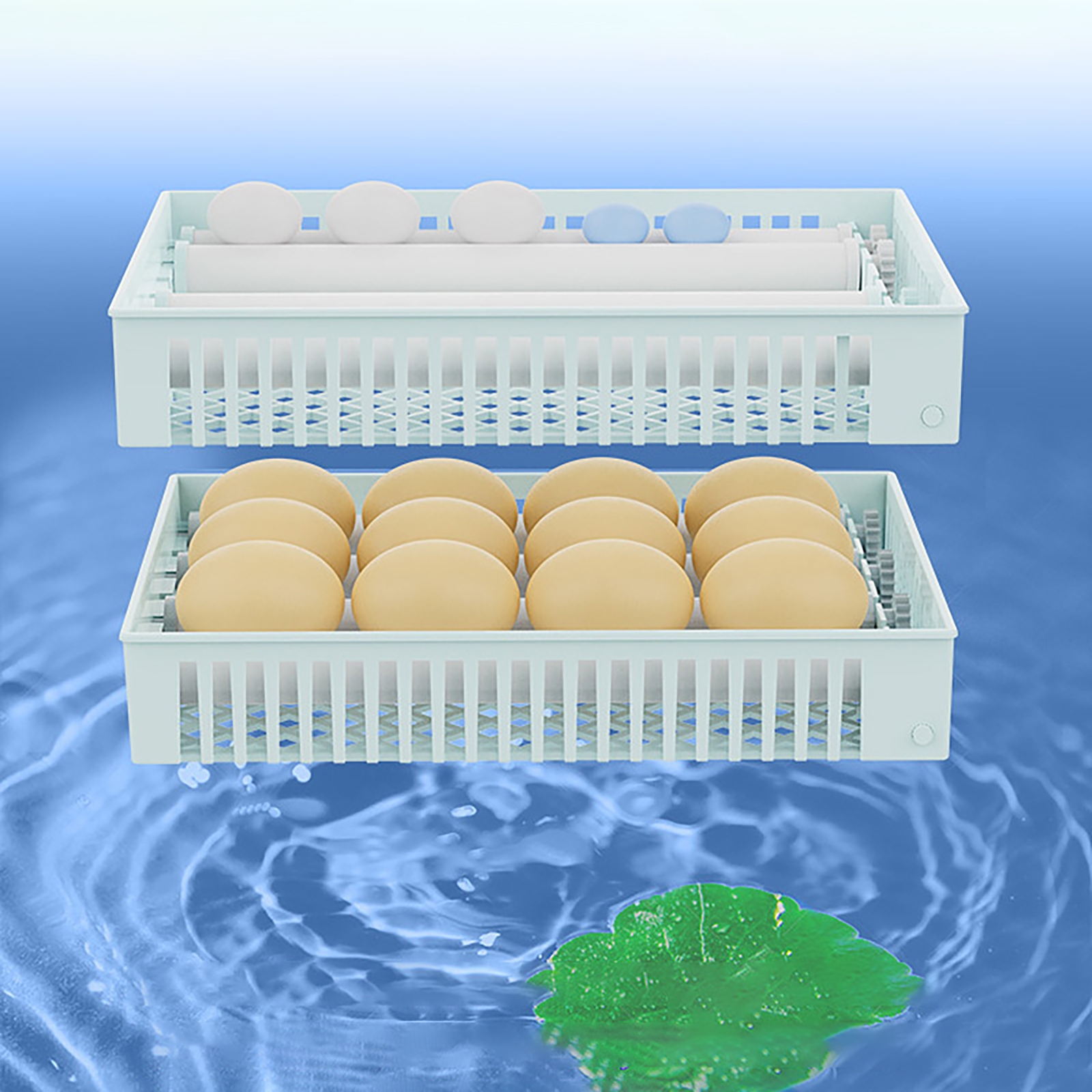 24 Eggs Full Automatic Turning - Quail Egg Incubator 评论和价格