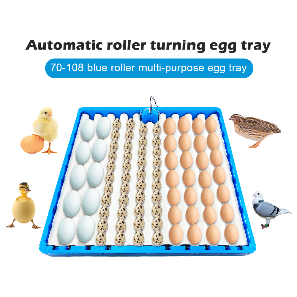 Automatic 360 Degree Rotary Eg - Quail Egg Incubator 评论和价格