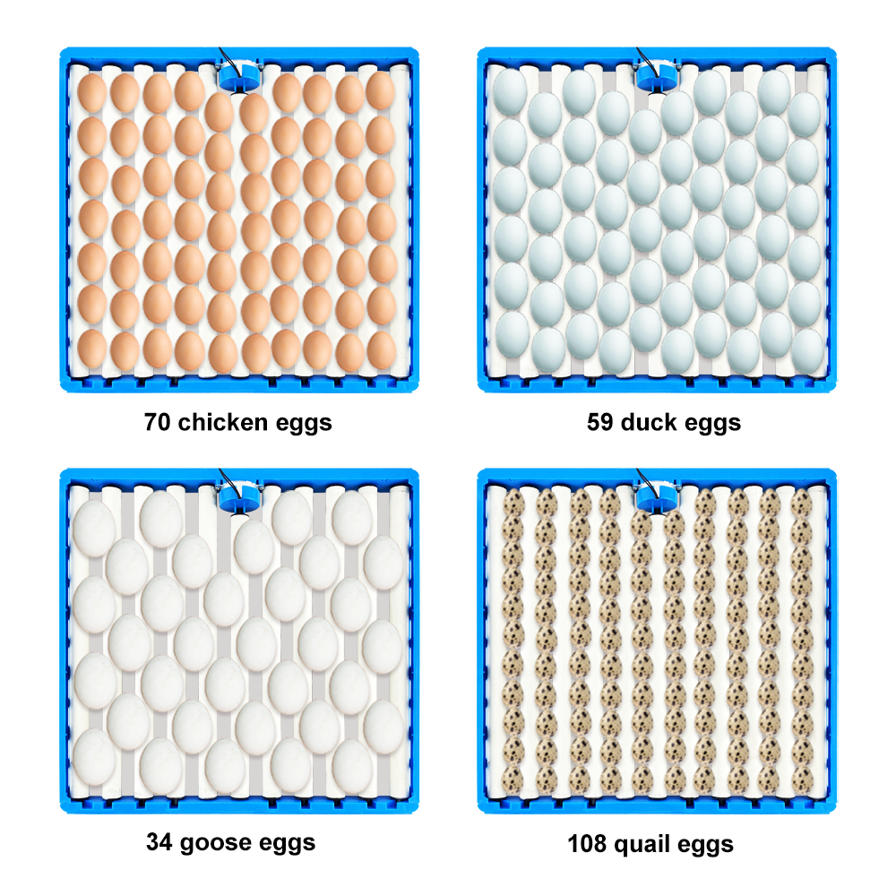 Automatic 360 Degree Rotary Eg - Quail Egg Incubator 评论和价格