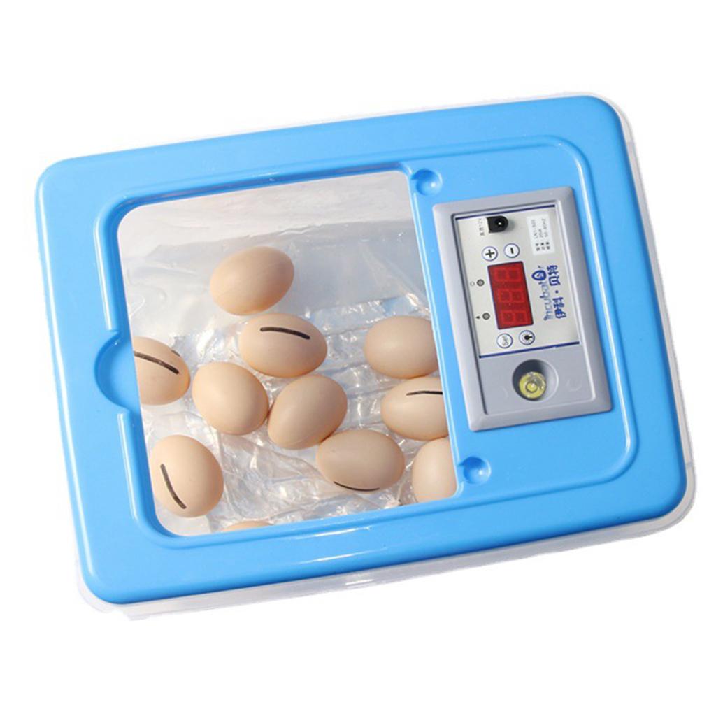 Incubator for Eggs Chicken Qua - Quail Egg Incubator 评论和价格