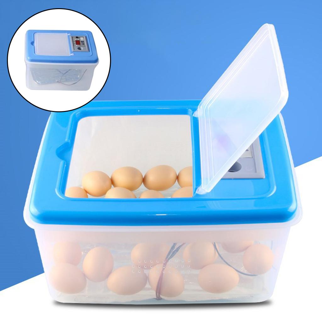 Incubator for Eggs Chicken Qua - Quail Egg Incubator 评论和价格