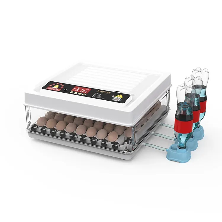 Fully Automatic 130 Capacity E - Quail Egg Incubator 评论和价格