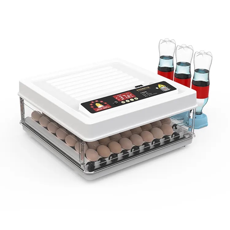 Fully Automatic 130 Capacity E - Quail Egg Incubator 评论和价格