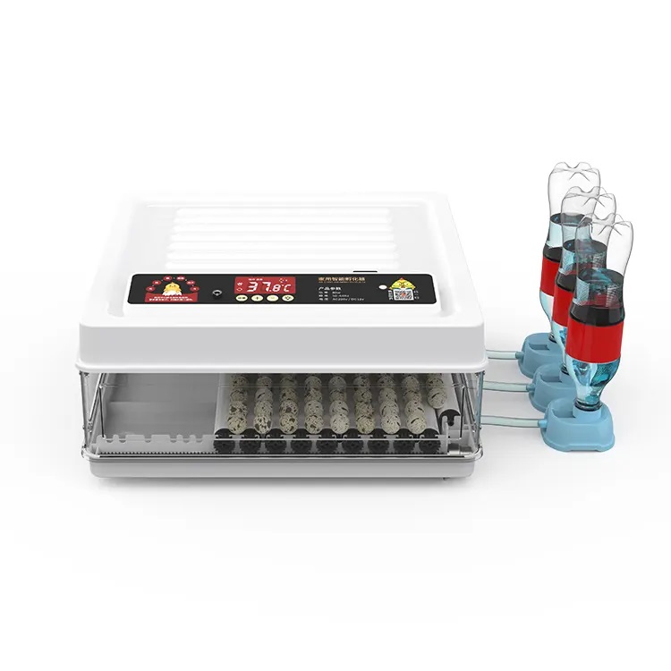 Fully Automatic 130 Capacity E - Quail Egg Incubator 评论和价格