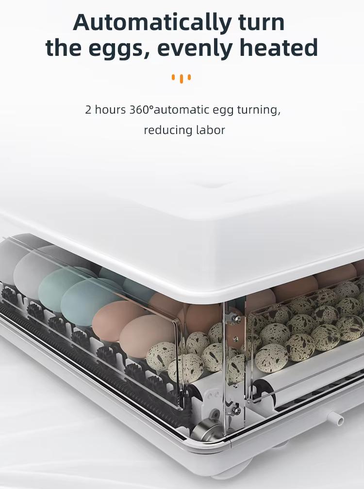 Fully Automatic 130 Capacity E - Quail Egg Incubator 评论和价格