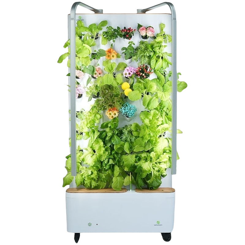 Hydroponic Growing System for  - Farming Zone 评论和价格