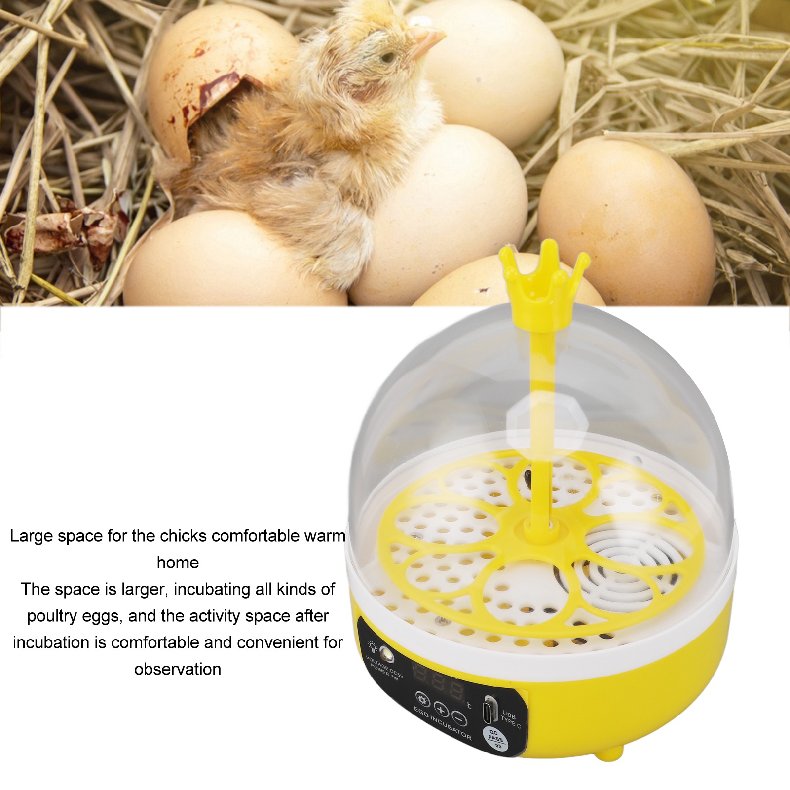 Egg Incubator Automatic Temper - Quail Egg Incubator 评论和价格