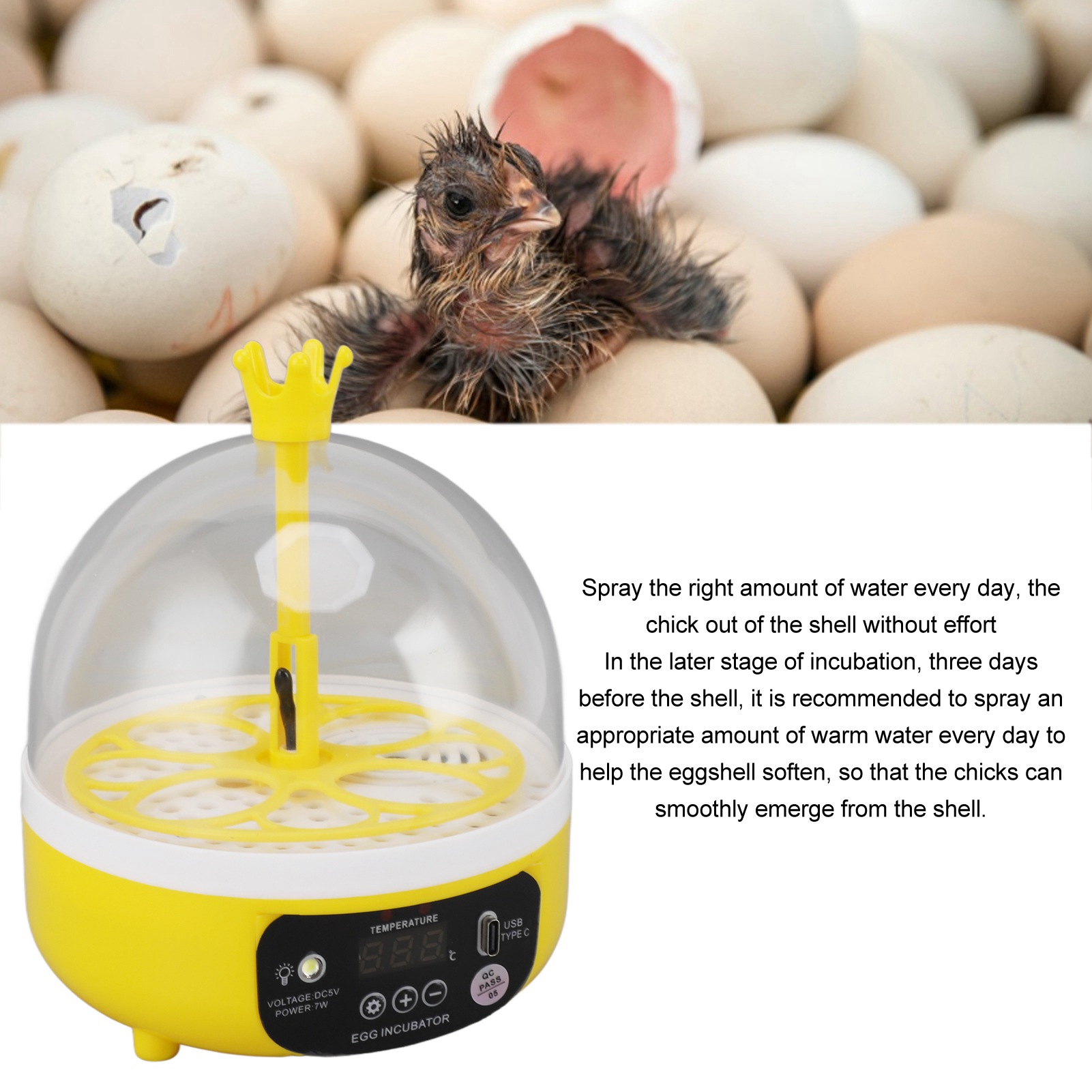 Egg Incubator Automatic Temper - Quail Egg Incubator 评论和价格
