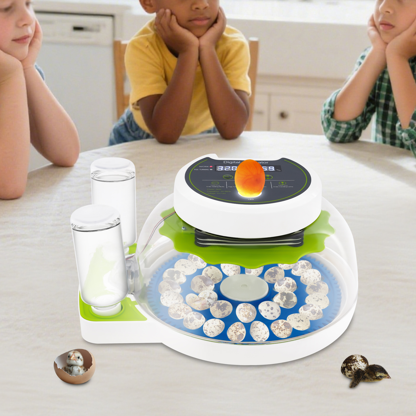 50W 12.2*9.84*6.1in Quail Egg  - Quail Egg Incubator 评论和价格