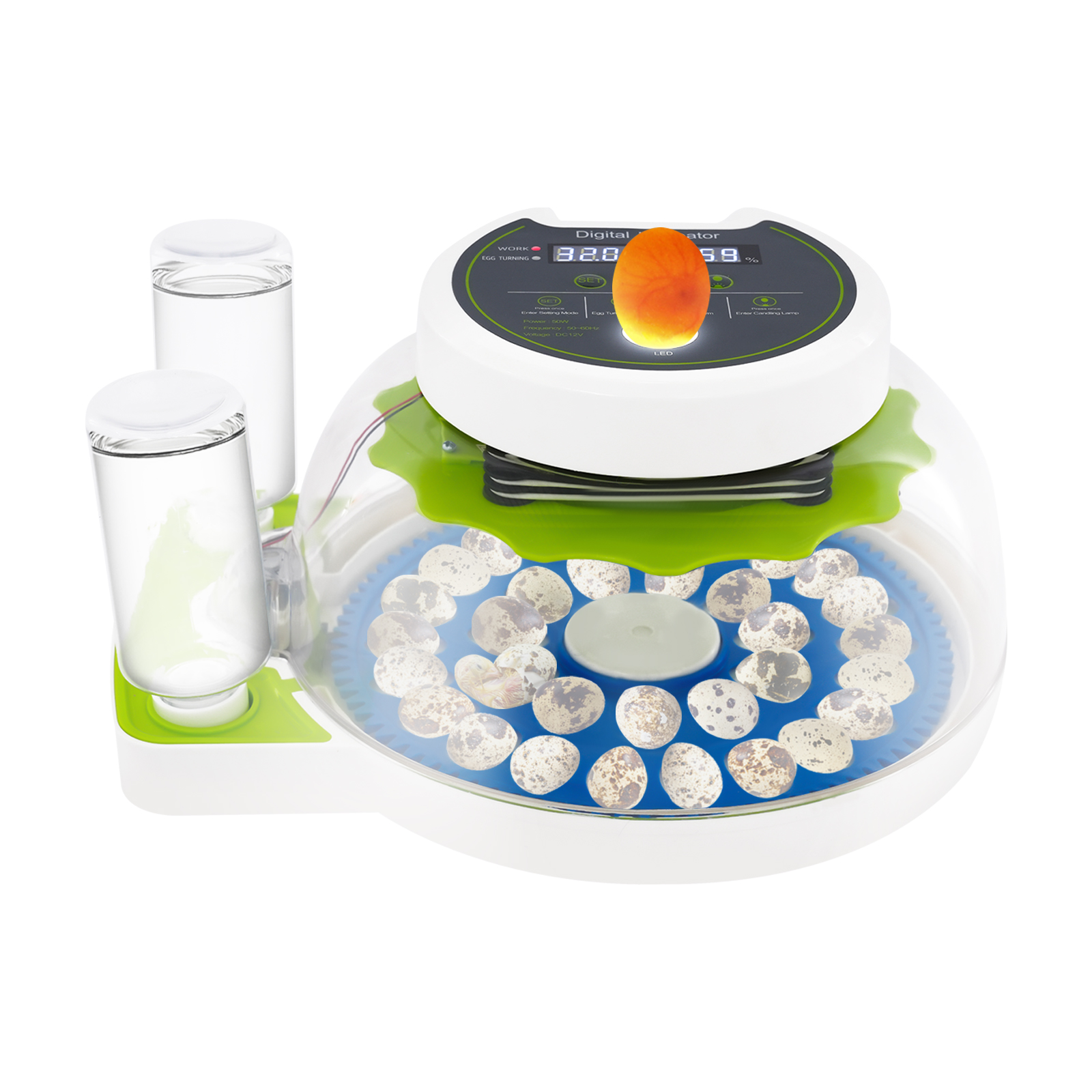 50W 12.2*9.84*6.1in Quail Egg  - Quail Egg Incubator 评论和价格