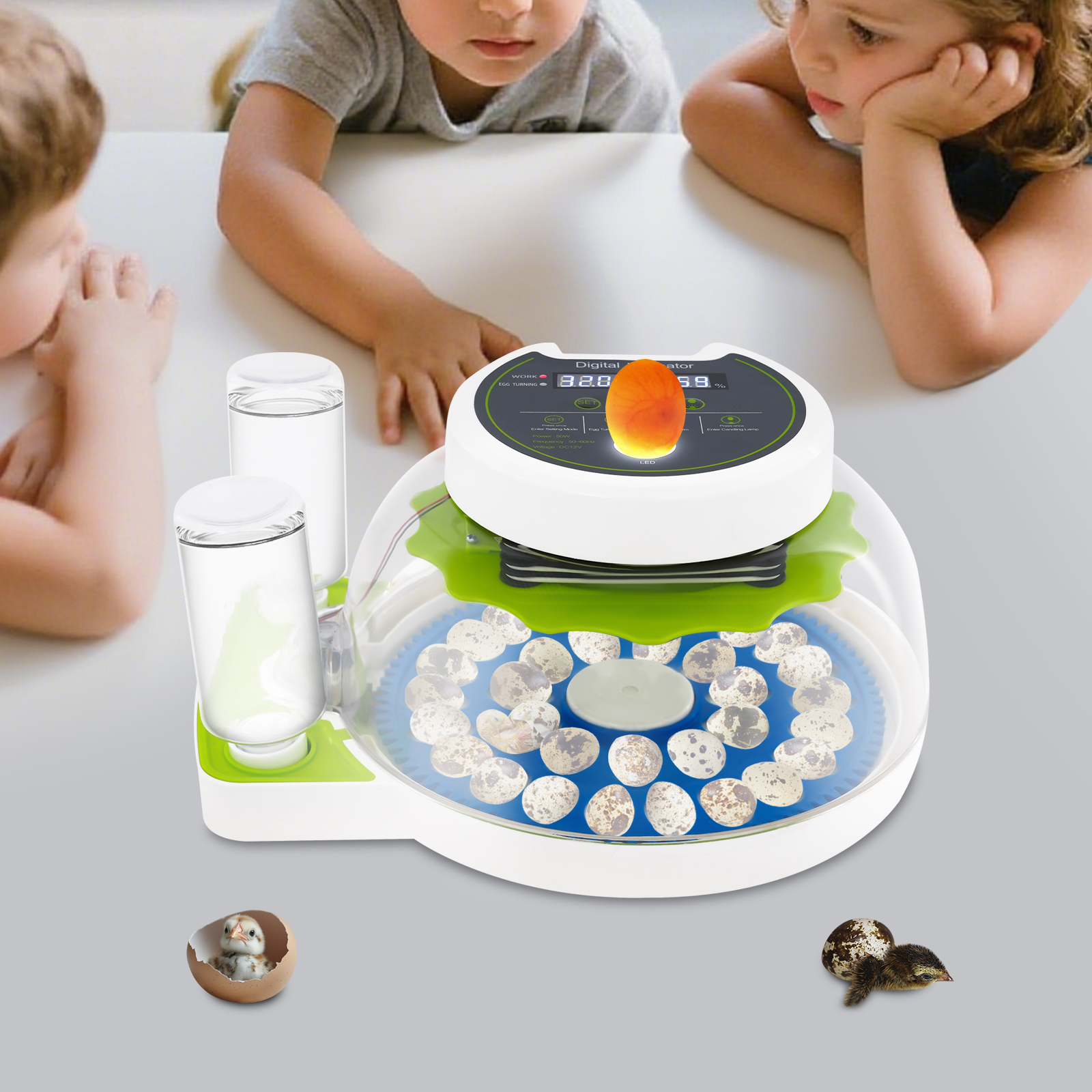 50W 12.2*9.84*6.1in Quail Egg  - Quail Egg Incubator 评论和价格