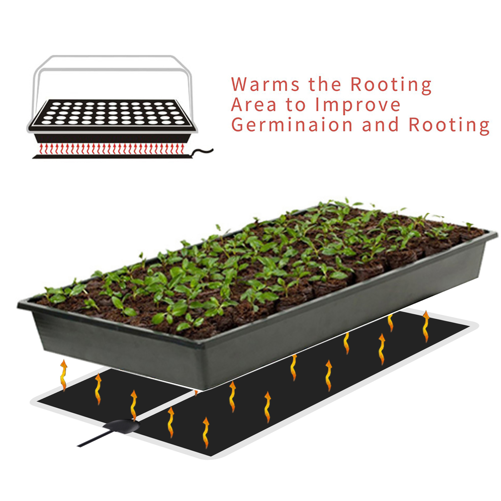 5~45W Seedling Heat Mat 220V~2 - Seedling Heat Mat 评论和价格