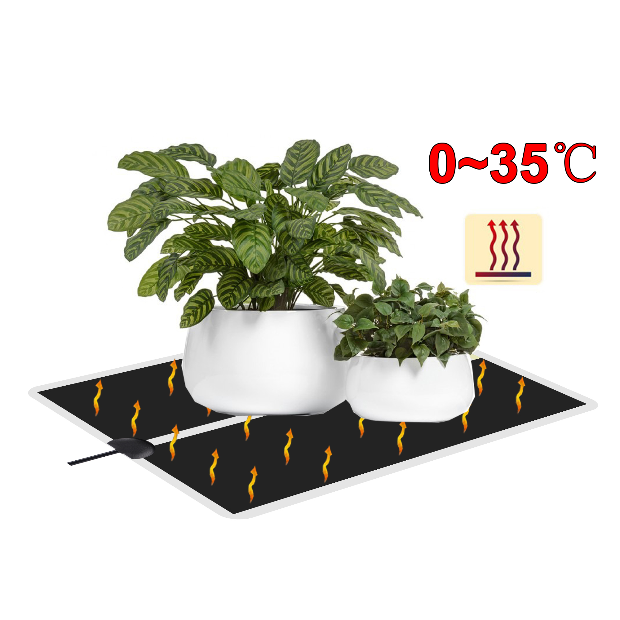 5~45W Seedling Heat Mat 220V~2 - Seedling Heat Mat 评论和价格