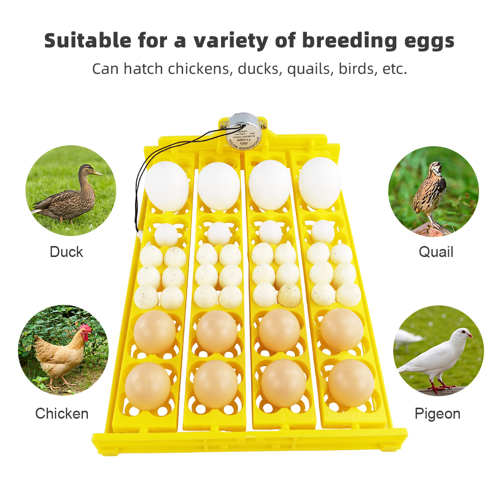 24pcs Eggs Incubator Tray Auto - Quail Egg Incubator 评论和价格