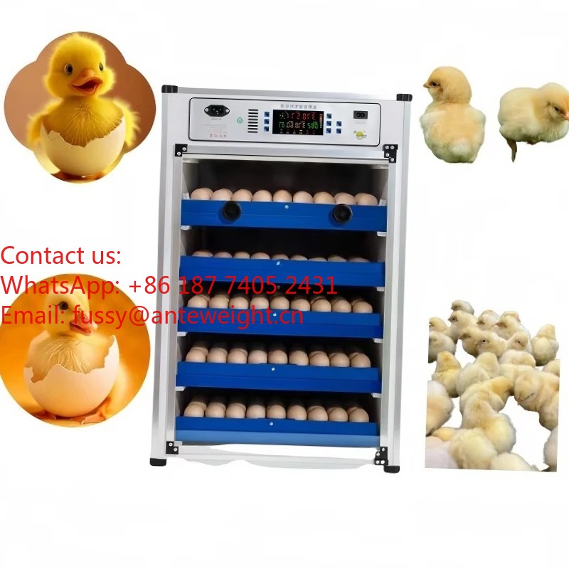 2026 Commercial-Grade 100 Eggs - Quail Egg Incubator 评论和价格
