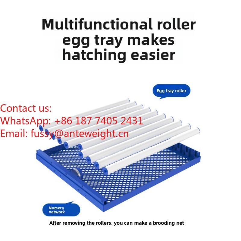 2026 Commercial-Grade 100 Eggs - Quail Egg Incubator 评论和价格