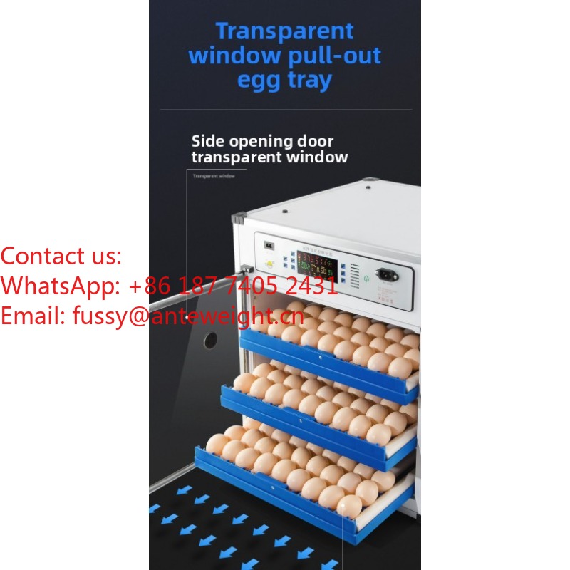 2026 Commercial-Grade 100 Eggs - Quail Egg Incubator 评论和价格