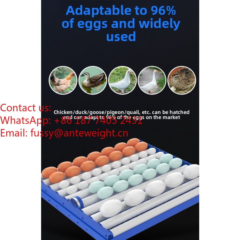 2026 Commercial-Grade 100 Eggs - Quail Egg Incubator 评论和价格