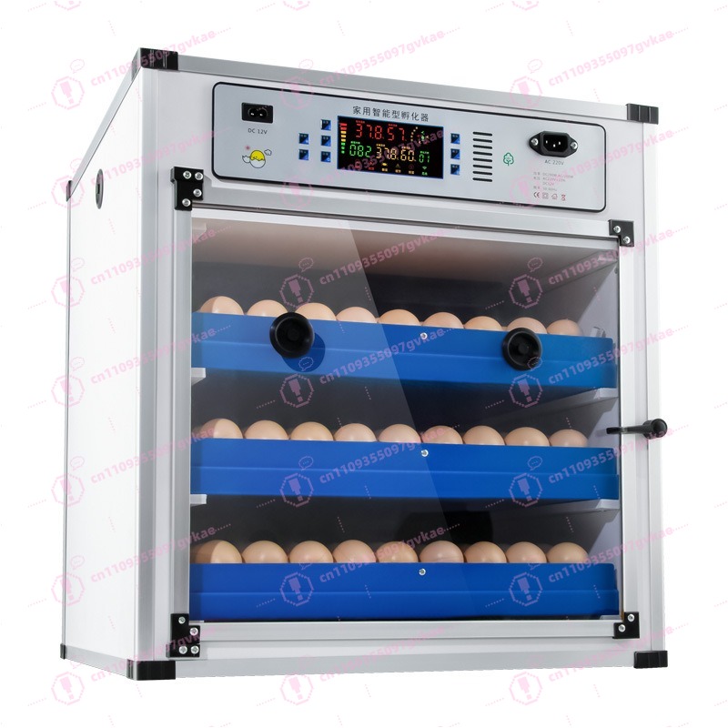 Portable Household Egg Incubat - Quail Egg Incubator 评论和价格