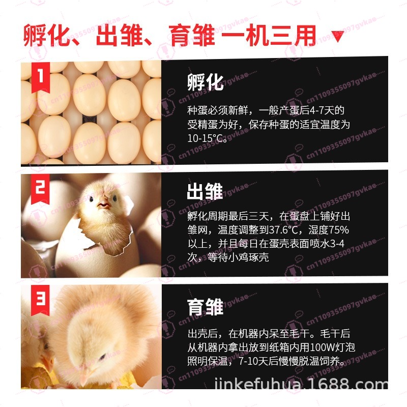 Portable Household Egg Incubat - Quail Egg Incubator 评论和价格