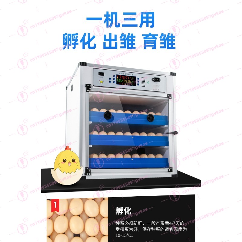 Portable Household Egg Incubat - Quail Egg Incubator 评论和价格