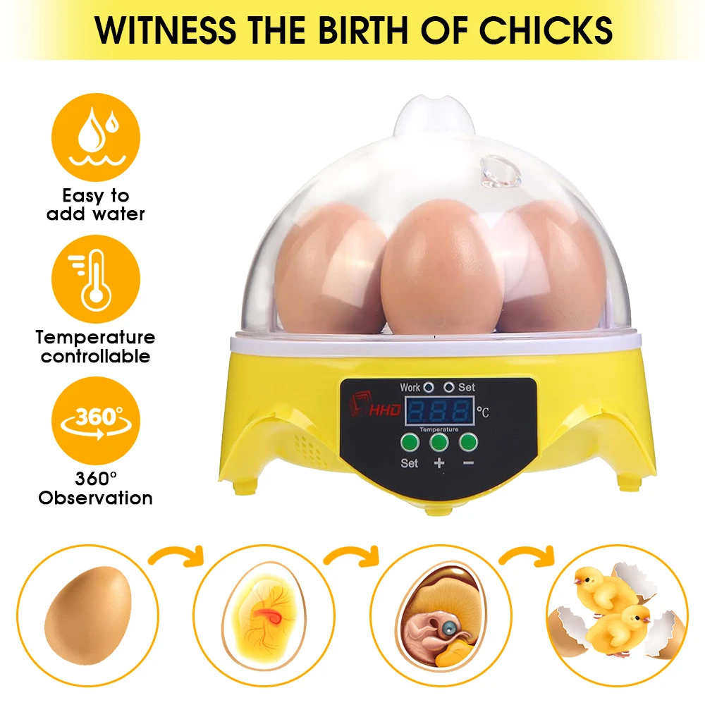 7 Capacity- Mini Sized Intelli - Quail Egg Incubator 评论和价格
