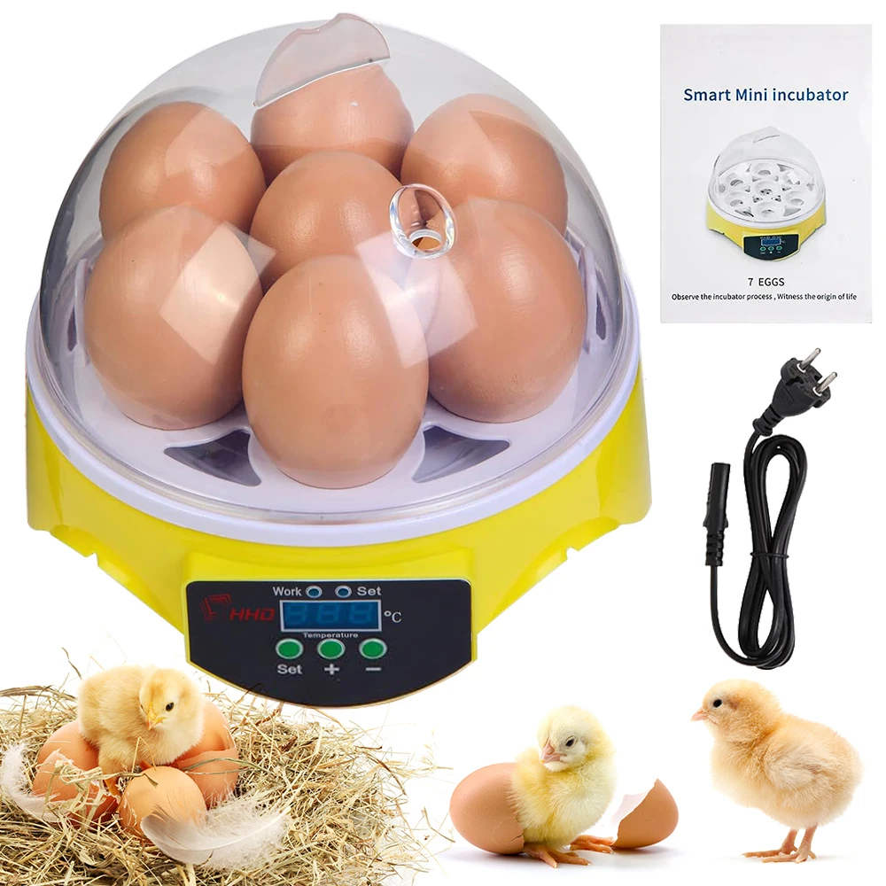 7 Capacity- Mini Sized Intelli - Quail Egg Incubator 评论和价格