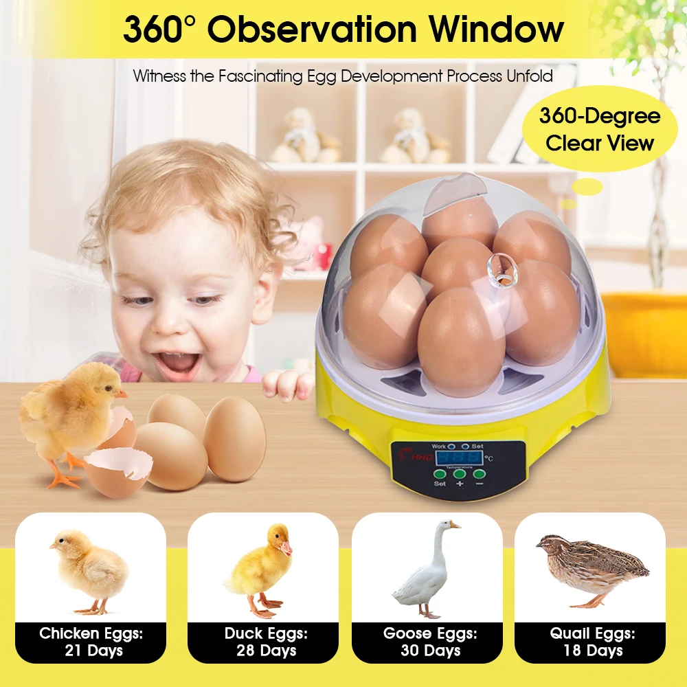 7 Capacity- Mini Sized Intelli - Quail Egg Incubator 评论和价格
