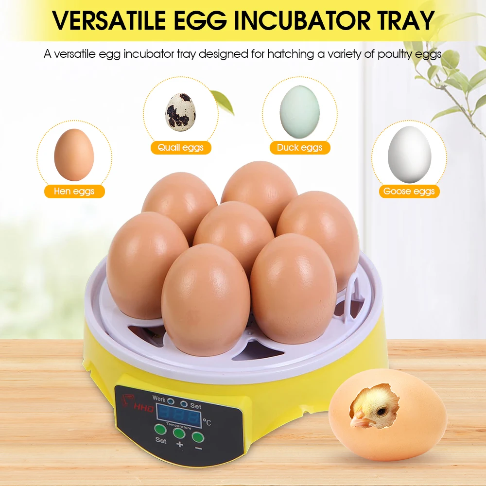 7 Capacity- Mini Sized Intelli - Quail Egg Incubator 评论和价格
