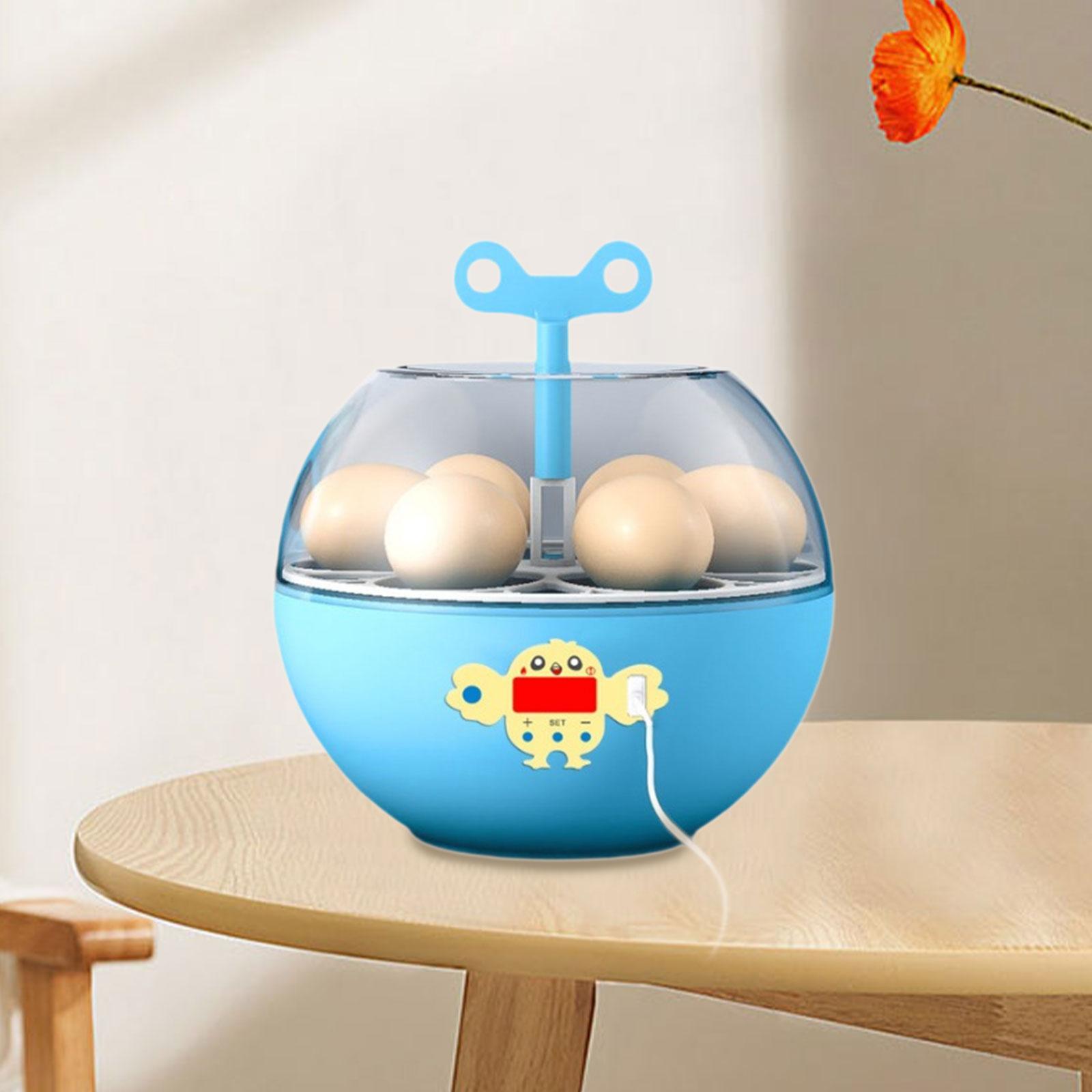 6 Eggs Incubator Mini Visible  - Quail Egg Incubator 评论和价格