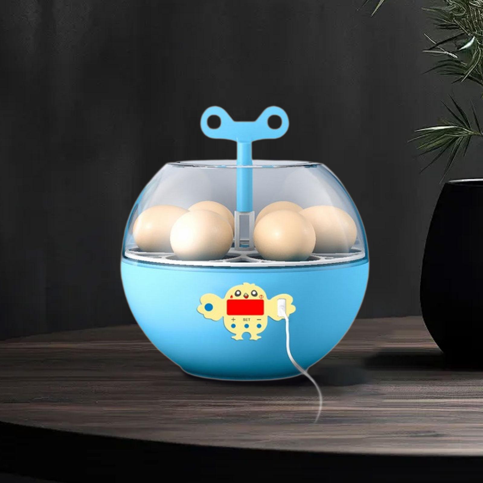 6 Eggs Incubator Mini Visible  - Quail Egg Incubator 评论和价格