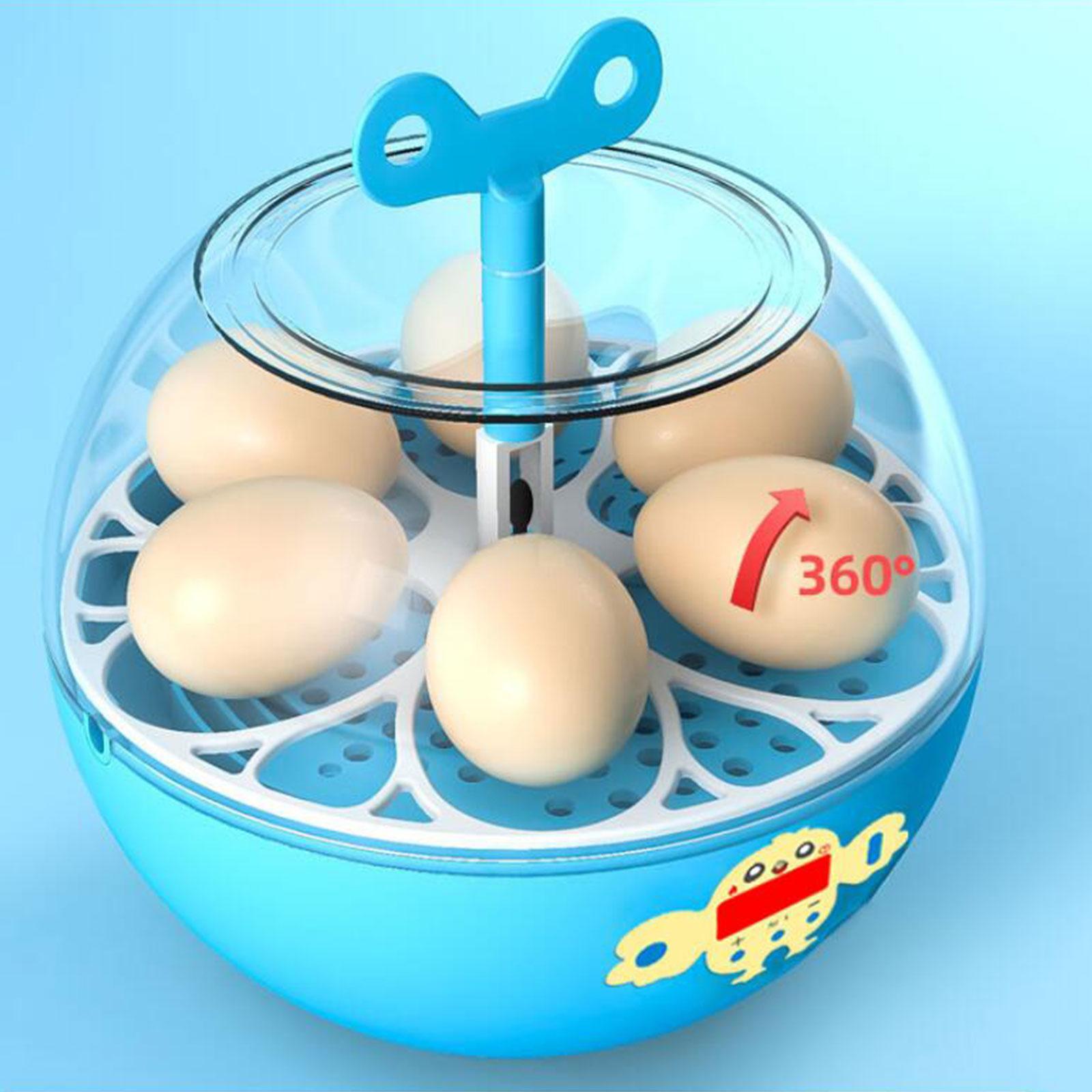6 Eggs Incubator Mini Visible  - Quail Egg Incubator 评论和价格