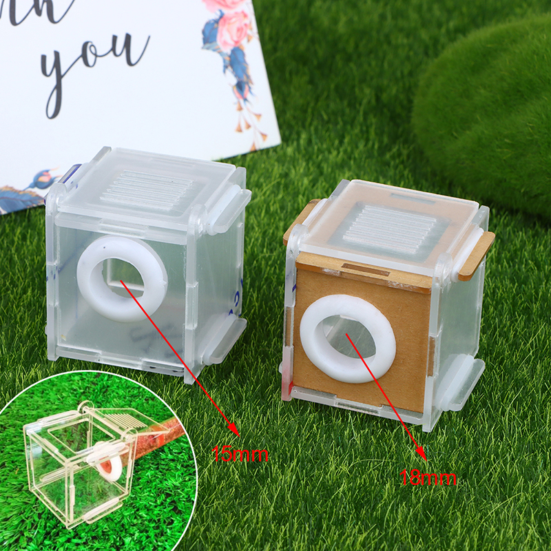 1pc Ant Nest Glass Tube Mini A - Farming Zone 评论和价格