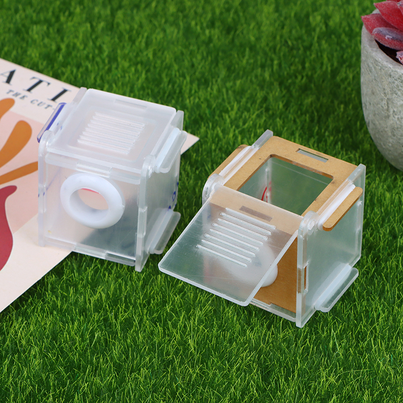 1pc Ant Nest Glass Tube Mini A - Farming Zone 评论和价格