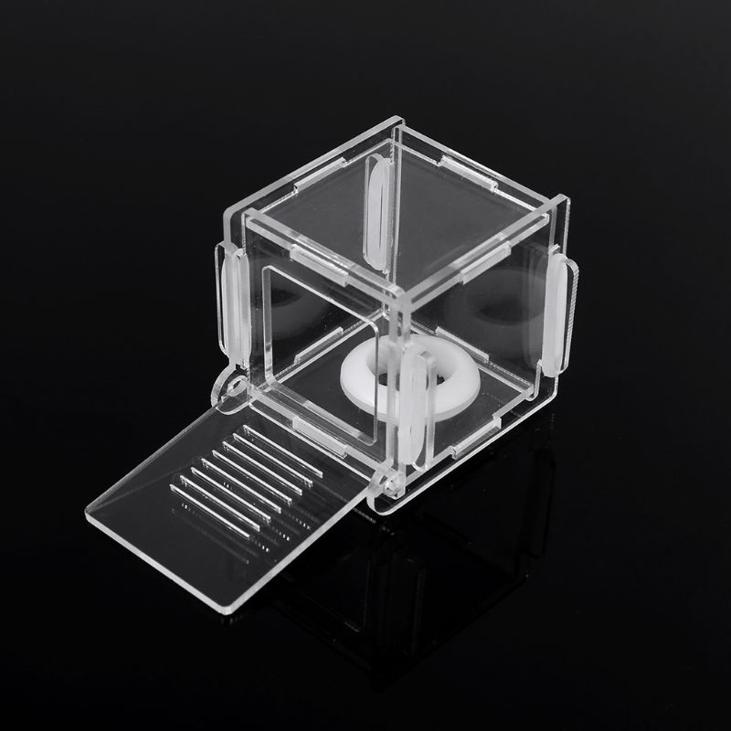 Ant Nest Glass Tube Mini Ant N - Farming Zone 评论和价格