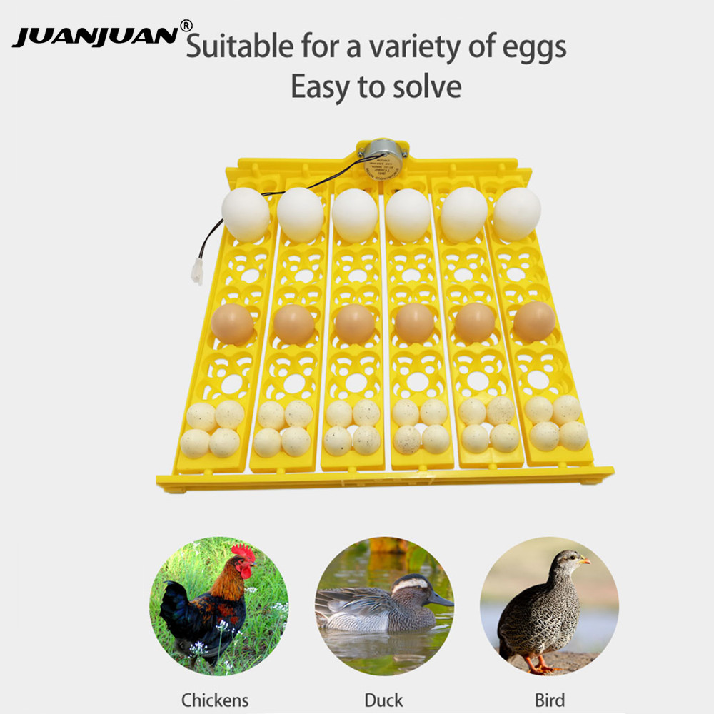 24 Eggs Tray Incubator Turner  - Quail Egg Incubator 评论和价格