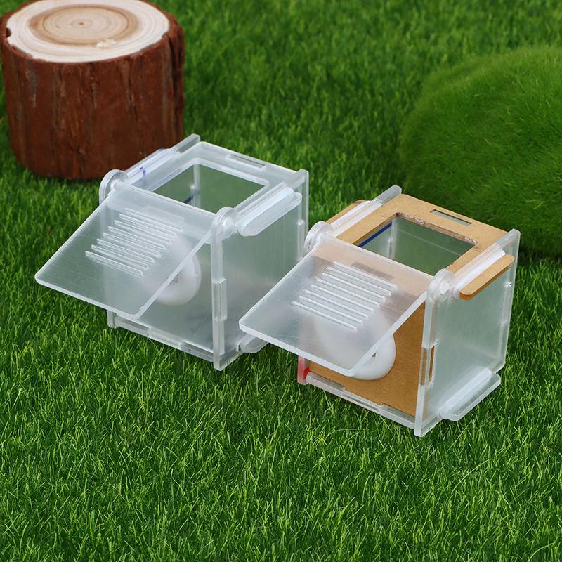 1pc Ant Nest Glass Tube Mini A - Farming Zone 评论和价格