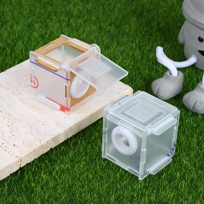1pc Ant Nest Glass Tube Mini A - Farming Zone 评论和价格