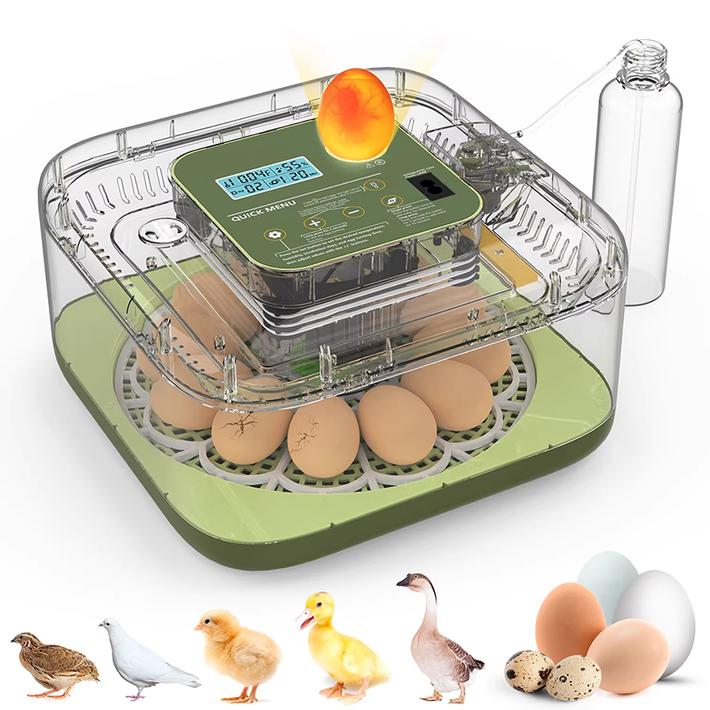 Egg Incubator with Temperature - Quail Egg Incubator 评论和价格