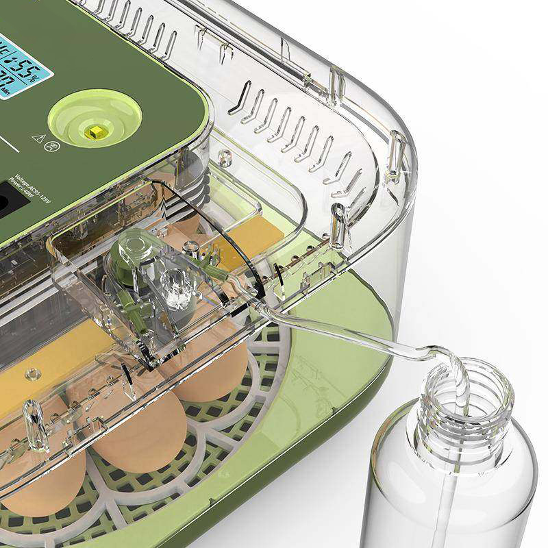Egg Incubator with Temperature - Quail Egg Incubator 评论和价格