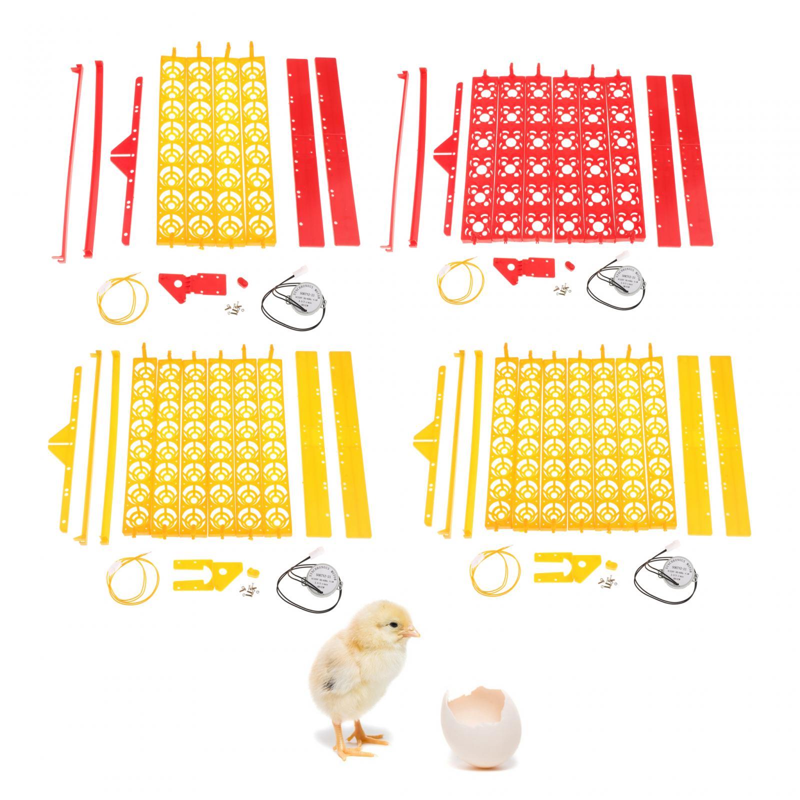 Egg Incubator Tray Automatic E - Quail Egg Incubator 评论和价格